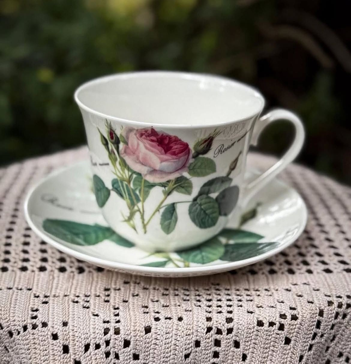 Vintage Roy Kirkham “Redouté Roses” Large Pink Moss Rose Teacup & Saucer— England