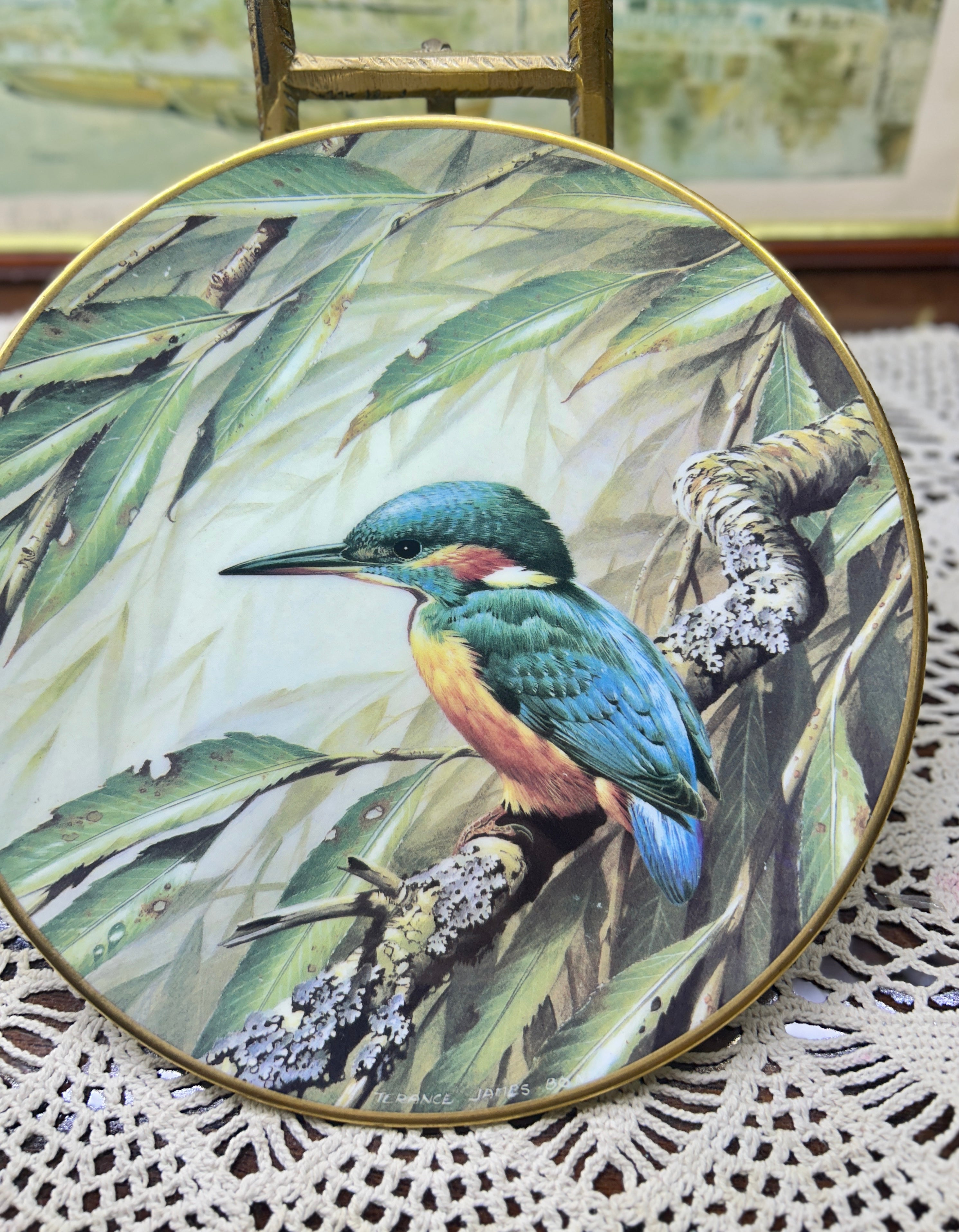 Wedgewood Kingfisher centenary plate — fine bone China 9”