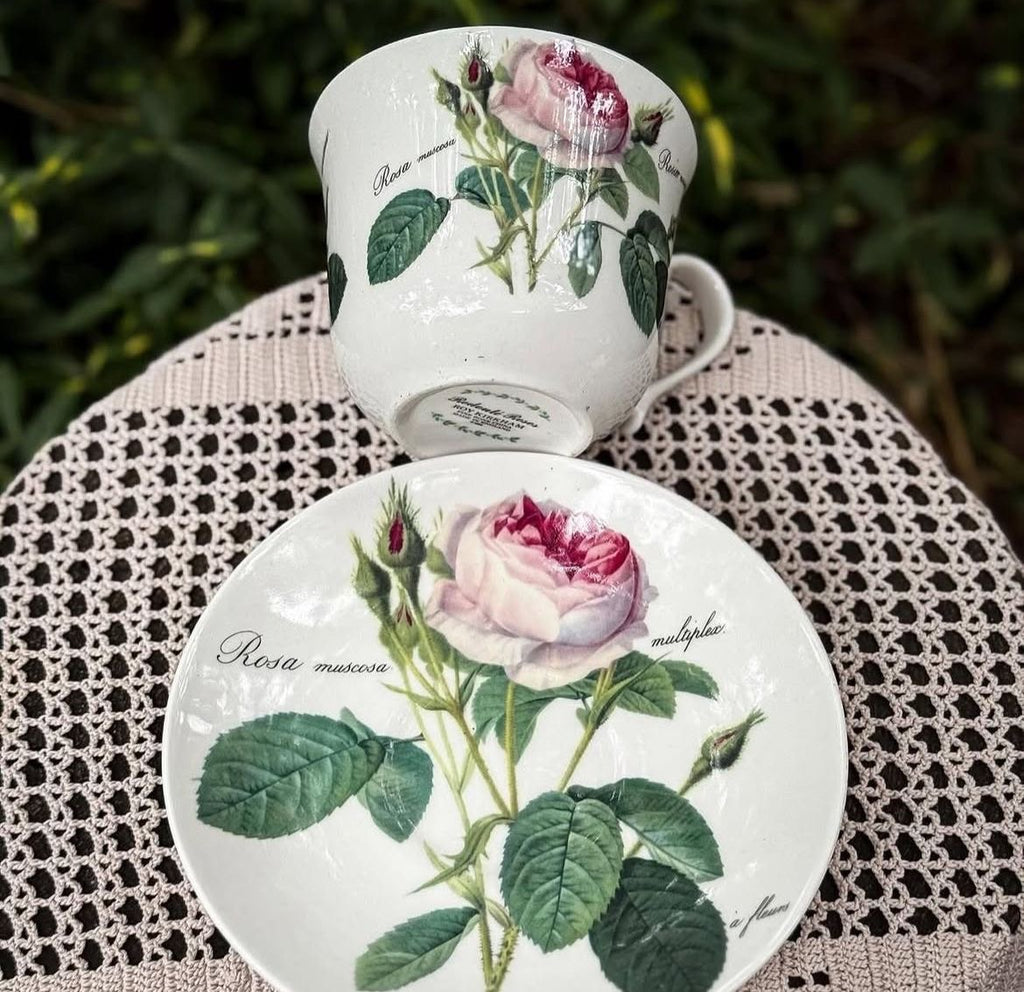 Vintage Roy Kirkham “Redouté Roses” Large Pink Moss Rose Teacup & Saucer— England