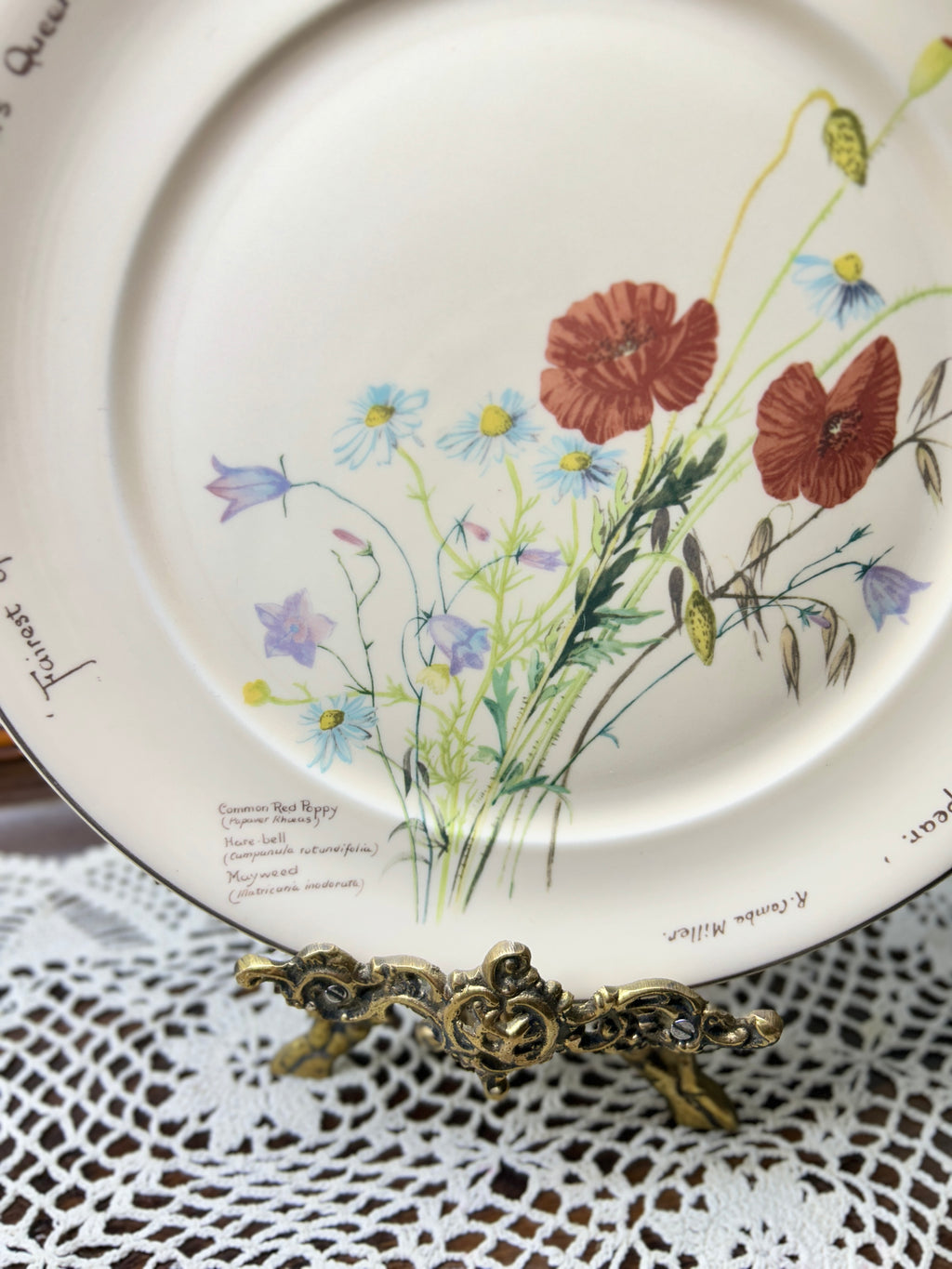 Vintage Noritake wall plate featuring a floral design from "The Country Diary of an Edwardian Lady" series 12”
