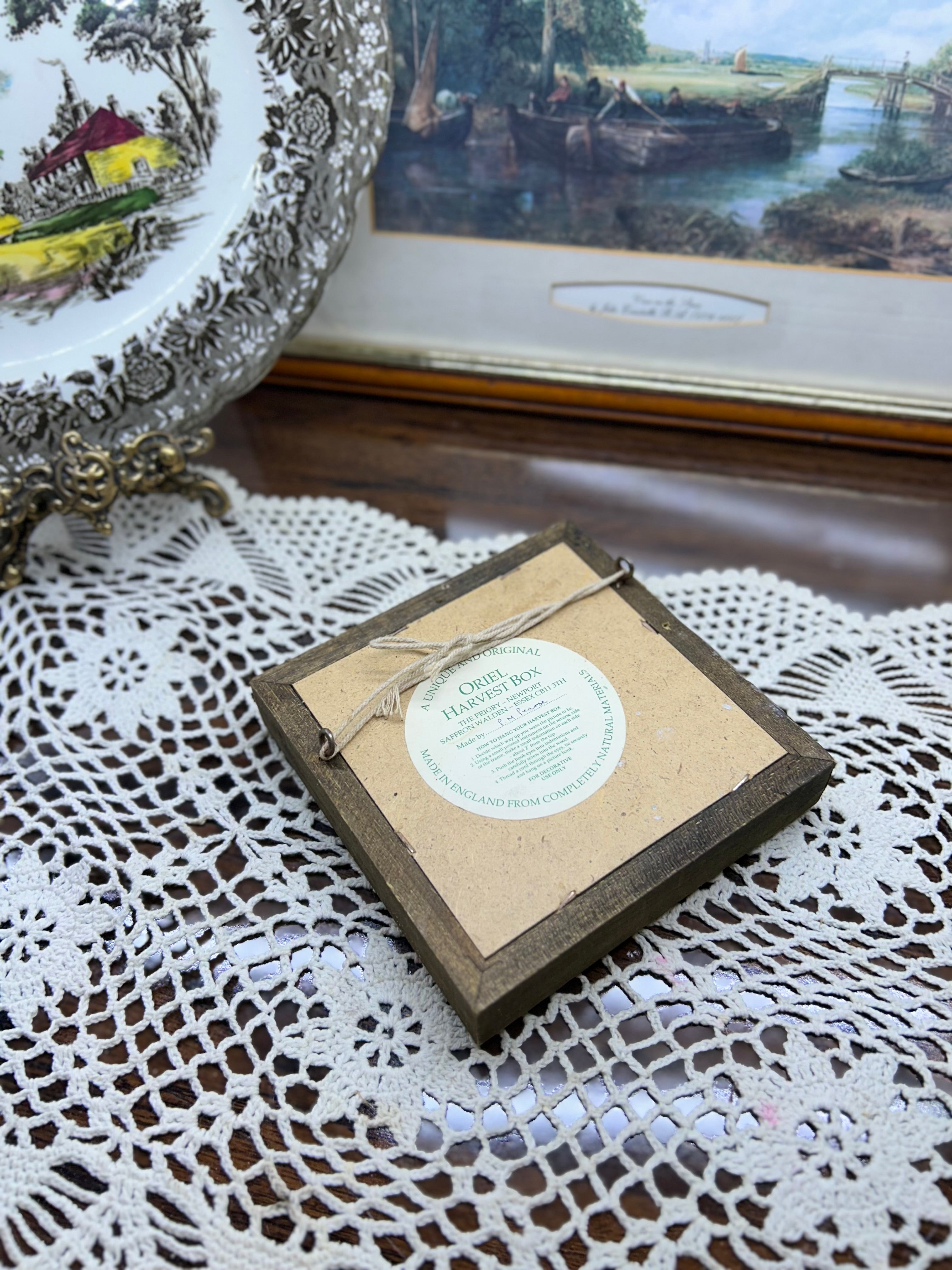 Wooden shadow box with dried seeds and grain for kitchen wall decor