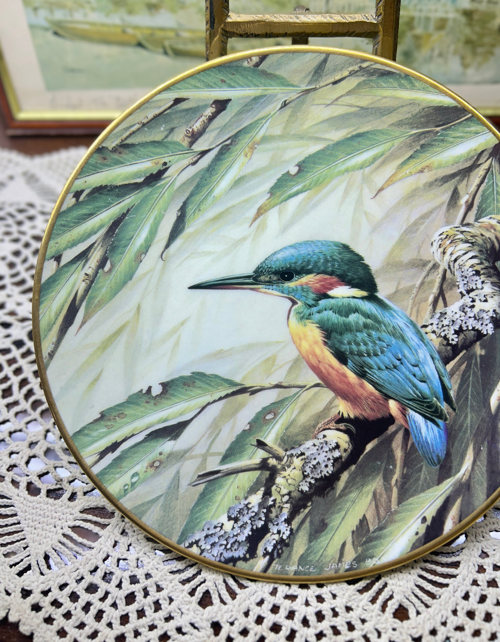 Wedgewood Kingfisher centenary plate — fine bone China 9”