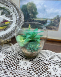 Assorted succulent glass terrarium