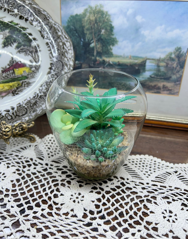 Assorted succulent glass terrarium