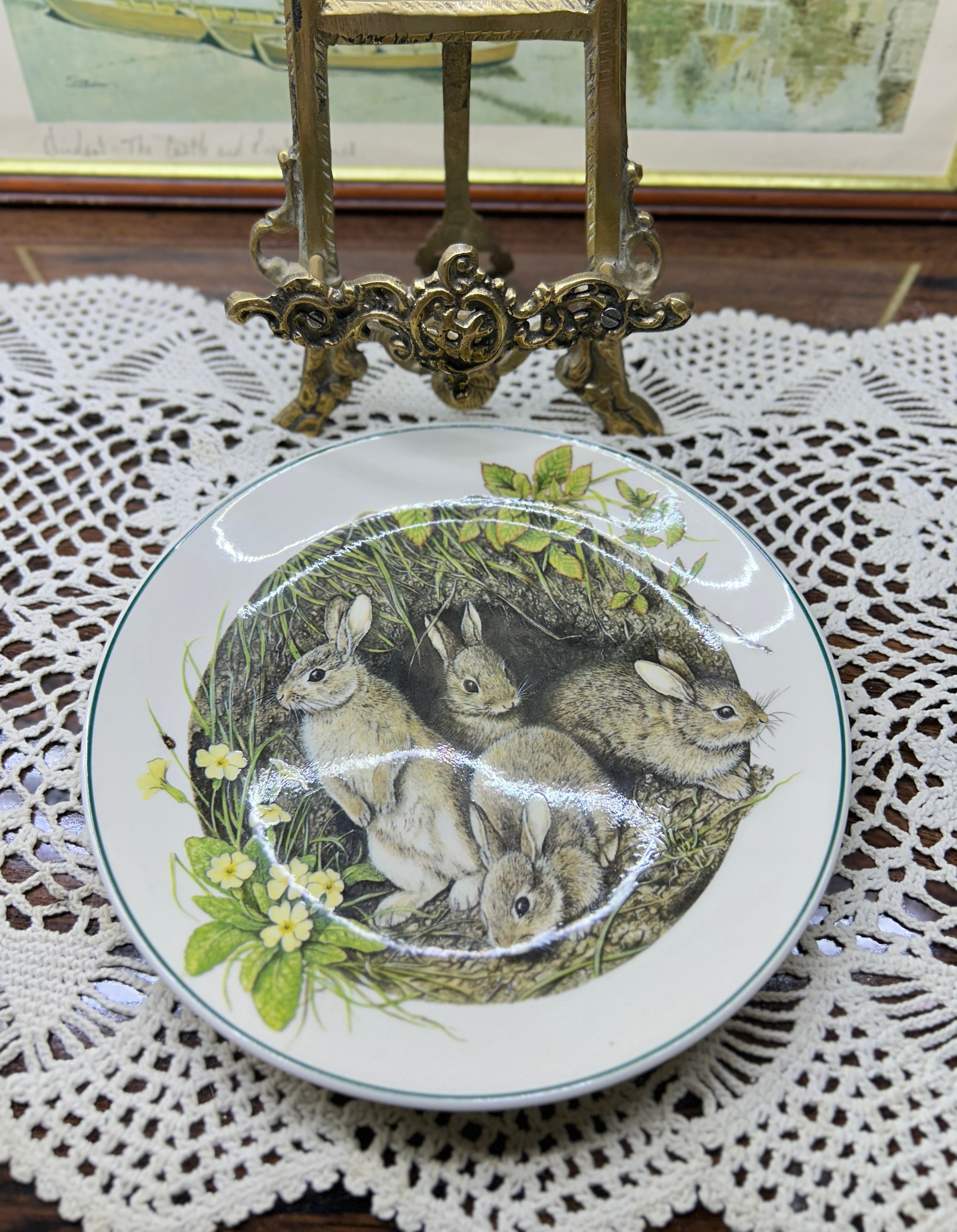Wedgwood collector wall plate “rabbits in a burrow” from the Baby Animal Collection 7”