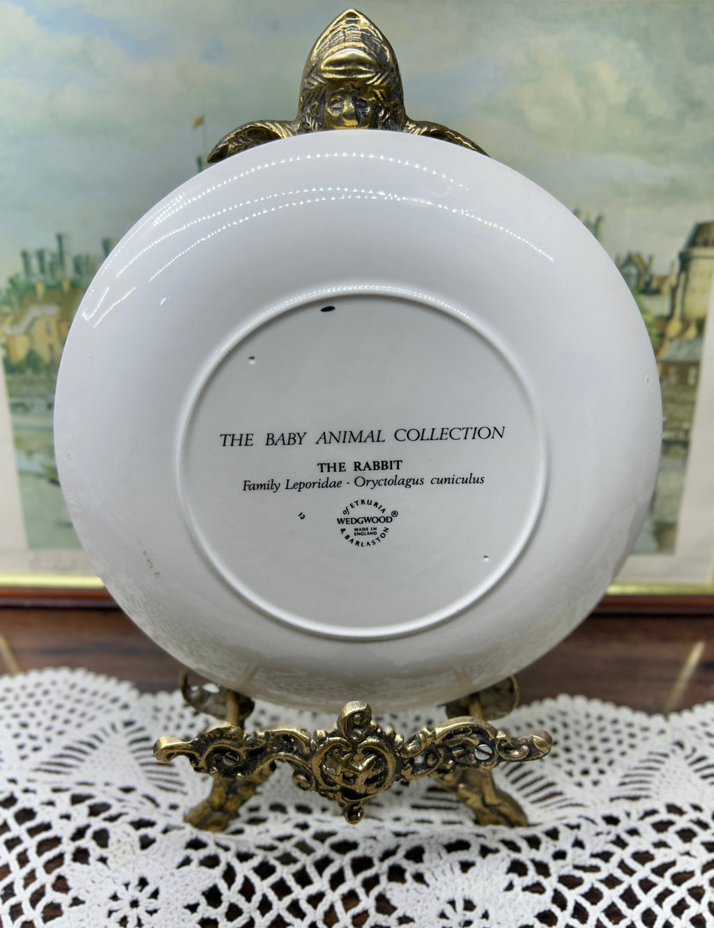 Wedgwood collector wall plate “rabbits in a burrow” from the Baby Animal Collection 7”