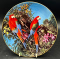Wedgwood Fragile Paradise Parrot Plate “Winged Macaws” Limited edition 8” (with Orignal box)