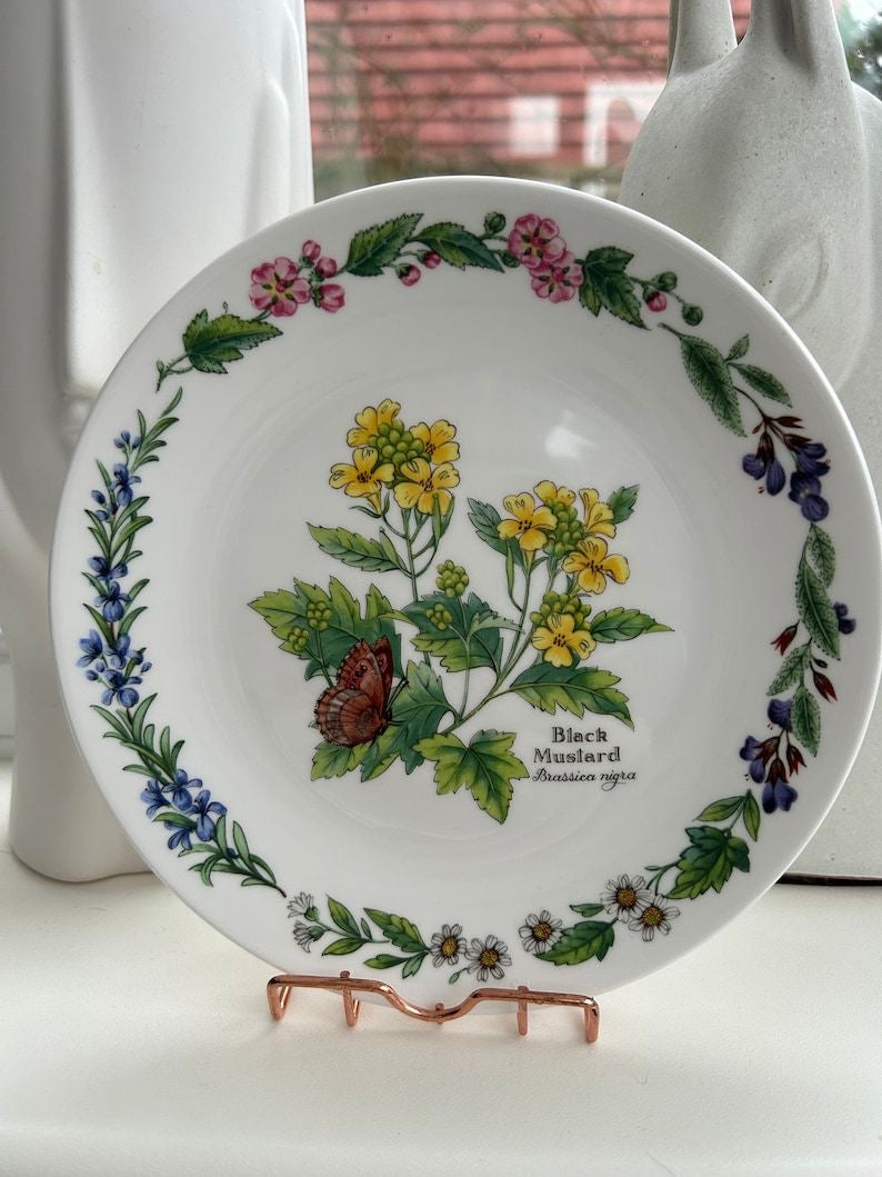 Series of seven plates from the “herbs by ROYAL WORCESTER” collection — limited edition botanical design 7”