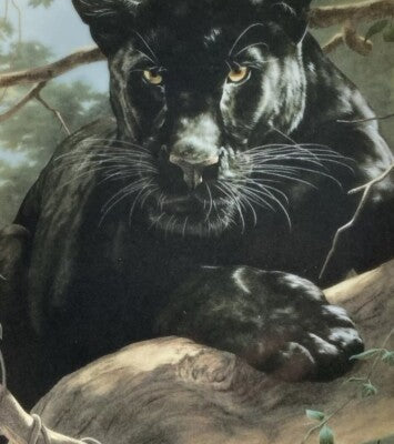 vintage Franklin Mint collector's plate titled "Silent Watch" featuring a black panther 8”