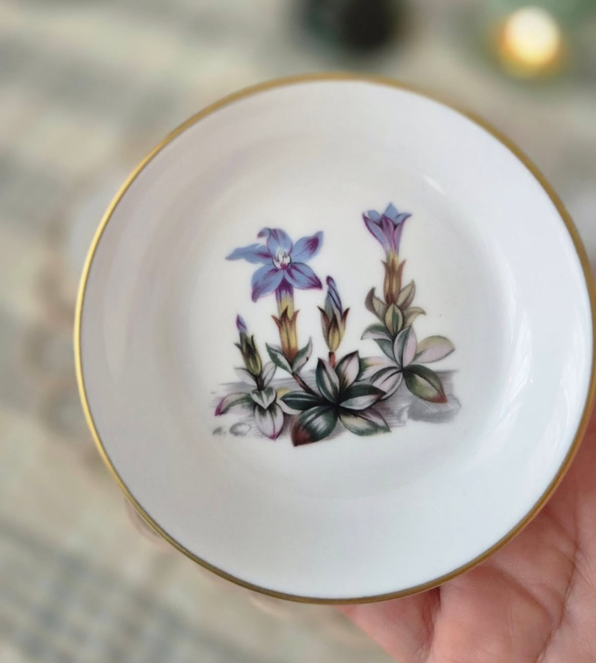 Vintage Royal Worcester Alpine Flowers Trinket, Fine Bone China 3.5 — England