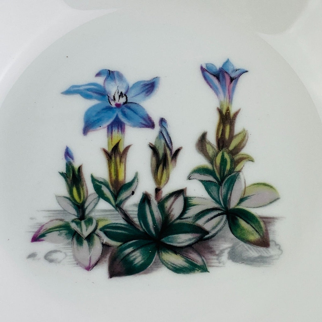 Vintage Royal Worcester Alpine Flowers Trinket, Fine Bone China 3.5 — England