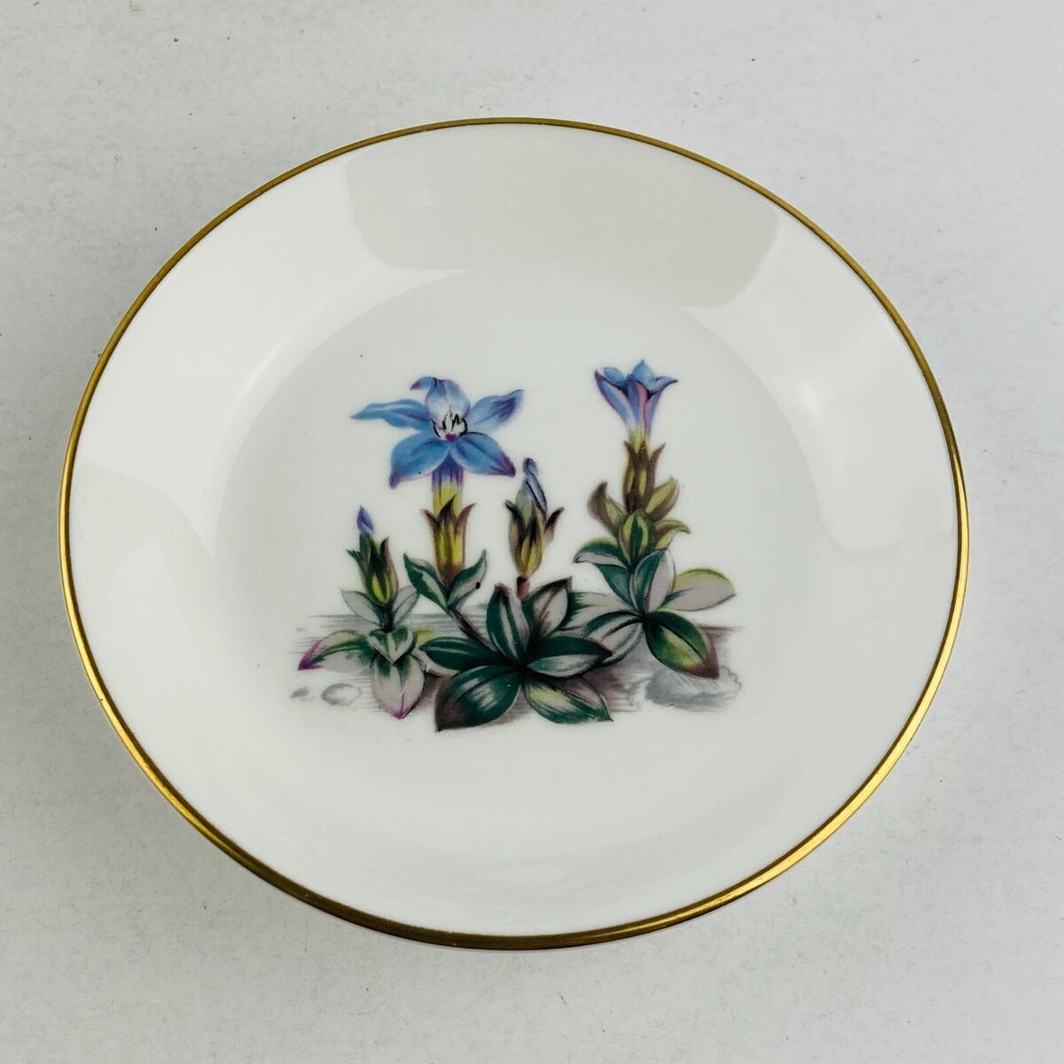 Vintage Royal Worcester Alpine Flowers Trinket, Fine Bone China 3.5 — England